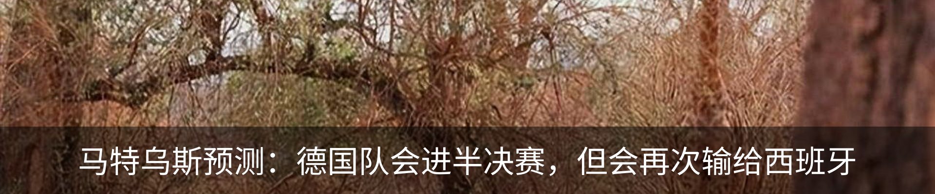 资讯中心